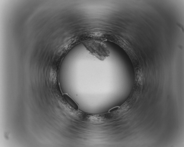 X0000102270568200808011430
