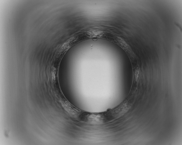 X0000102270570200808011430