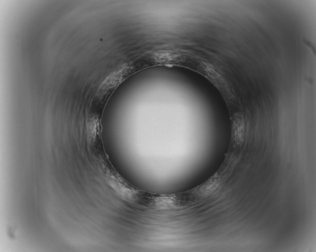 X0000102270574200808011430
