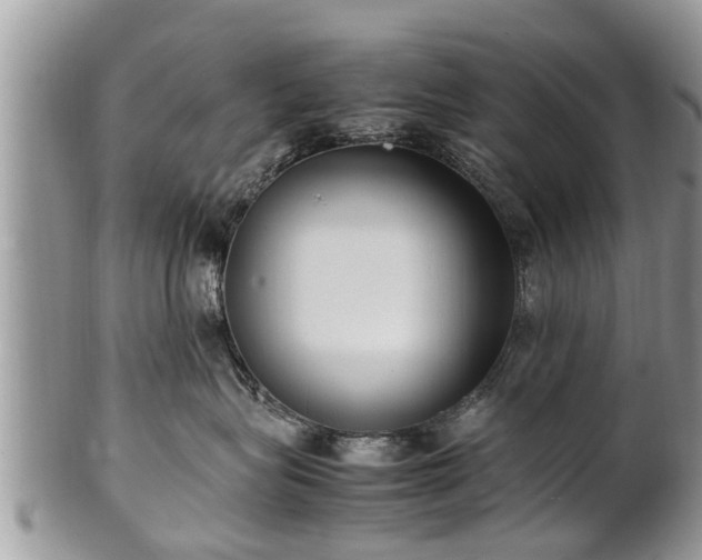 X0000102270575200808011430