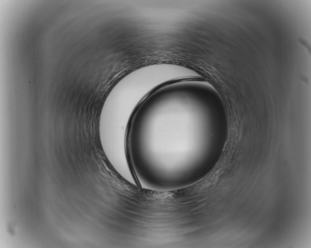 X0000102270576200808011430