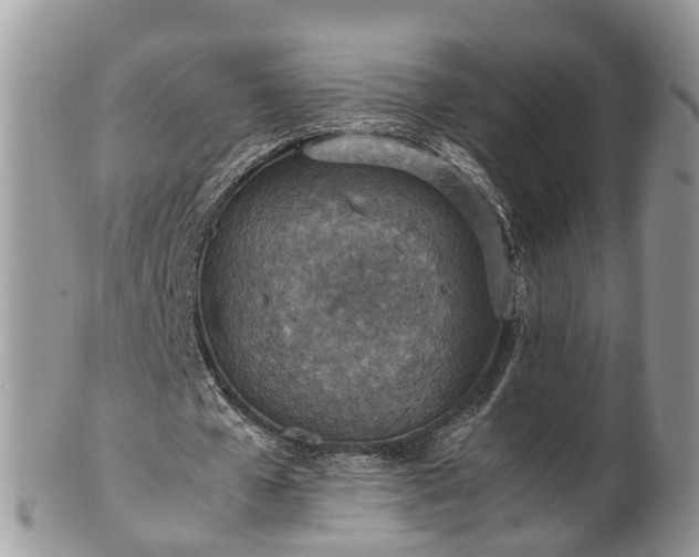 X0000102270577200808011429