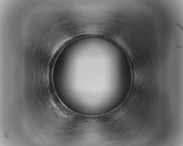 X0000102270580200808011429