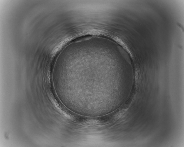 X0000102270581200808011429