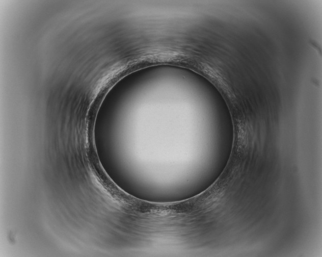 X0000102270582200808011429