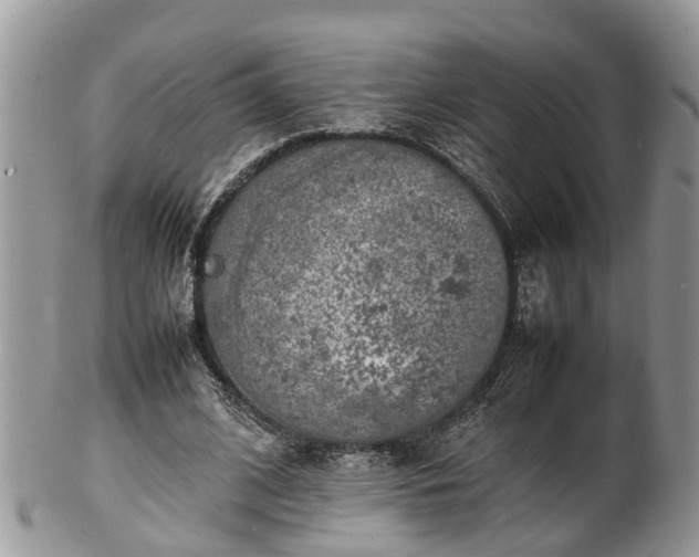 X0000102270584200808011429