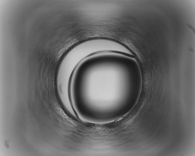 X0000102270585200808011429