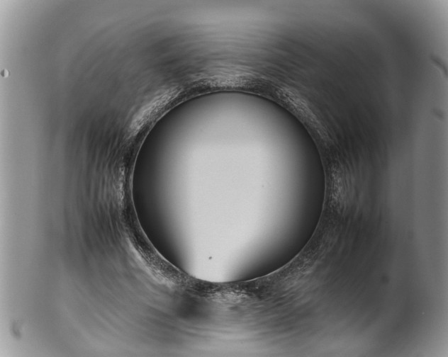 X0000102270586200808011429