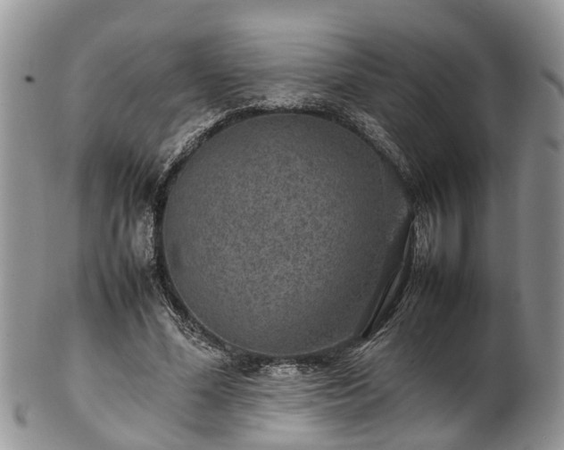 X0000102270588200808011429