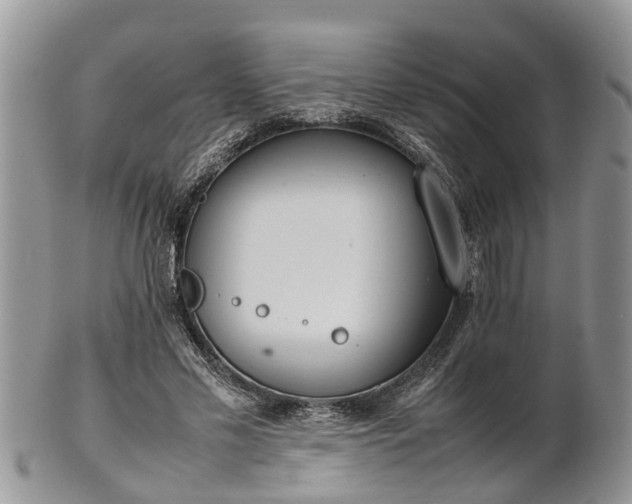 X0000102270589200808011429