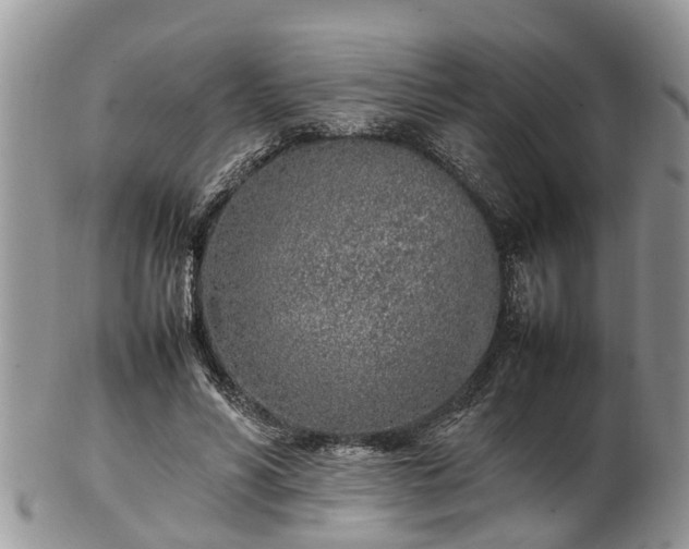 X0000102270590200808011429