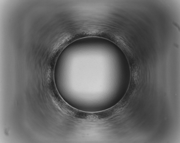 X0000102270591200808011429