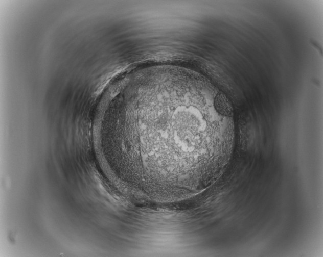 X0000102270592200808011429