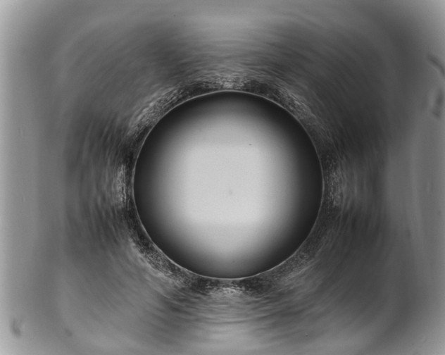 X0000102270594200808011429