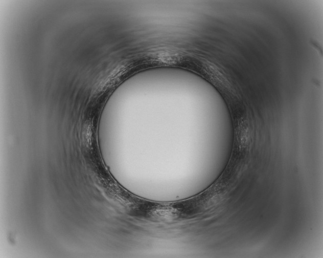 X0000102270595200808011429