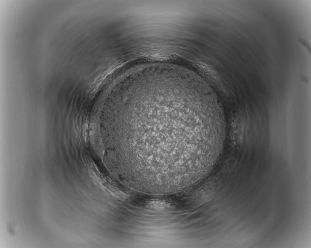 X0000102270596200808011429