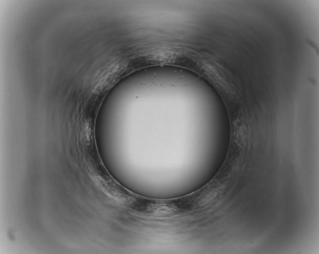 X0000102270597200808011429