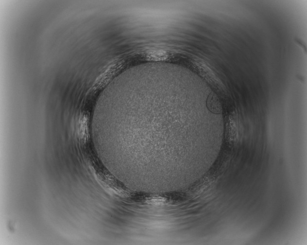 X0000102270598200808011429