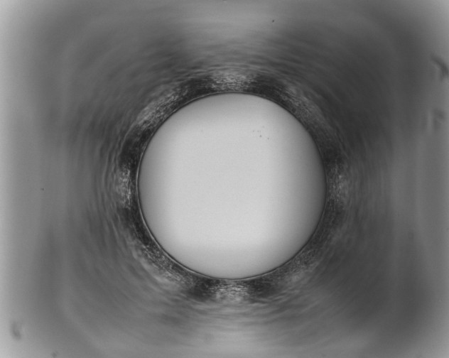 X0000102270599200808011429