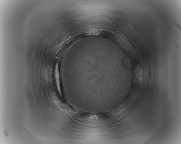 X0000102270600200808011429