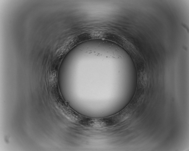 X0000102270601200808011429