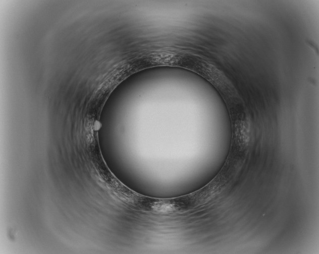 X0000102270602200808011429