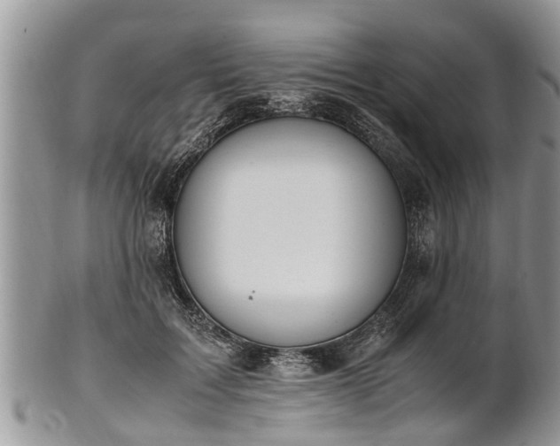 X0000102270603200808011429