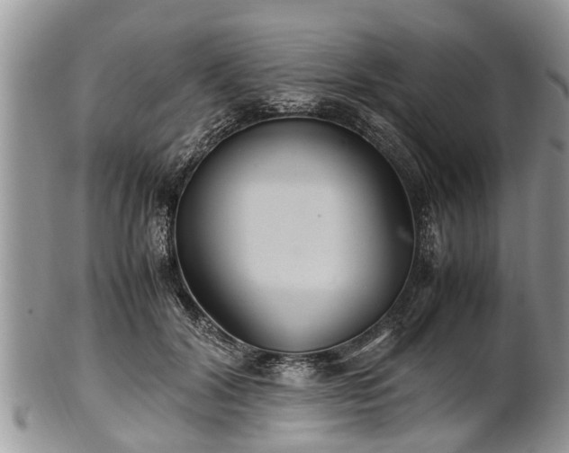 X0000102270604200808011429