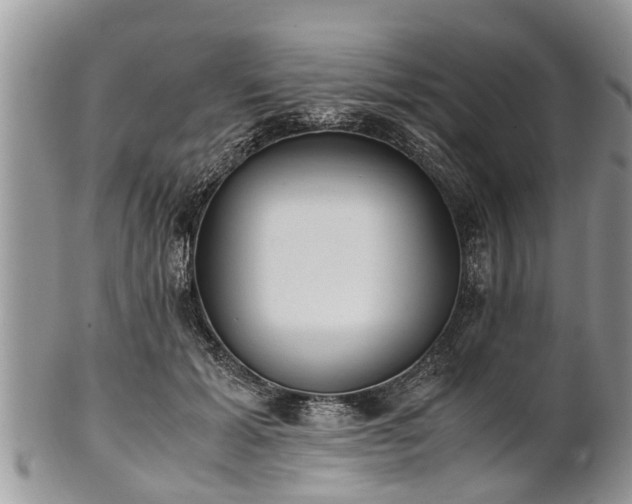 X0000102270605200808011429