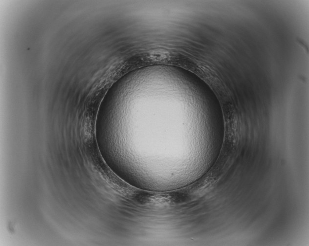 X0000102270606200808011429