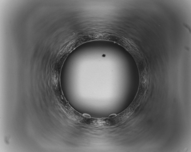 X0000102270607200808011429