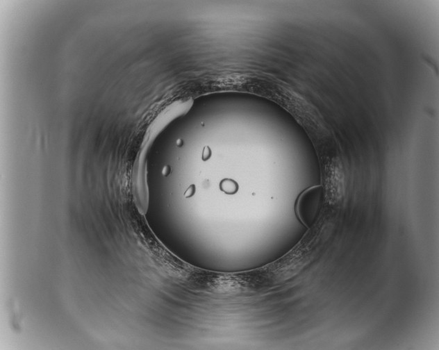 X0000102270608200808011429