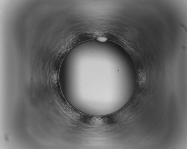 X0000102270613200808011429
