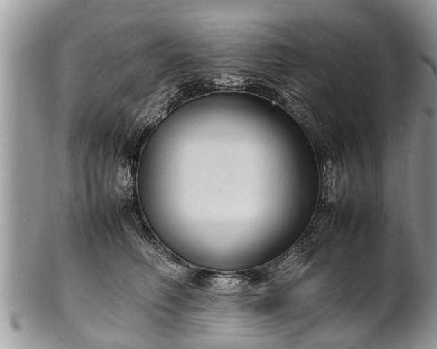X0000102270614200808011429