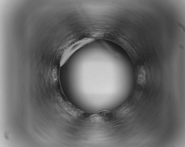 X0000102270620200808011429