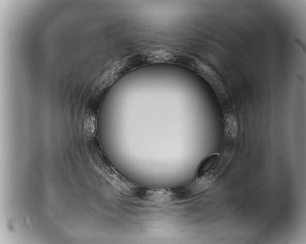 X0000102270621200808011429
