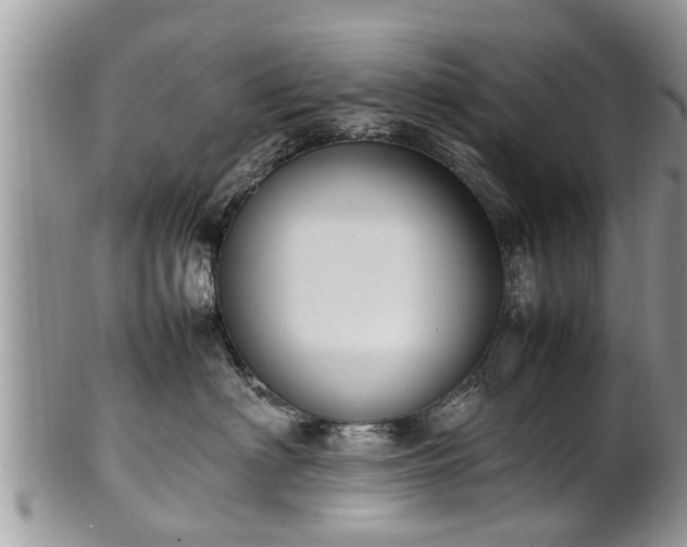 X0000102270622200808011429