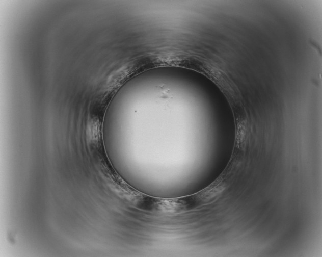 X0000102270623200808011429