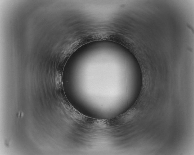 X0000102270624200808011428