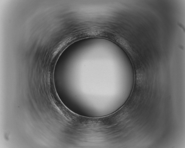 X0000102270626200808011428