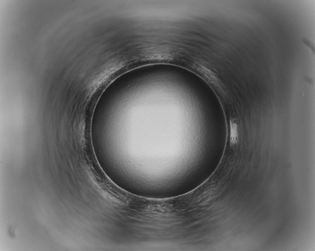 X0000102270627200808011428