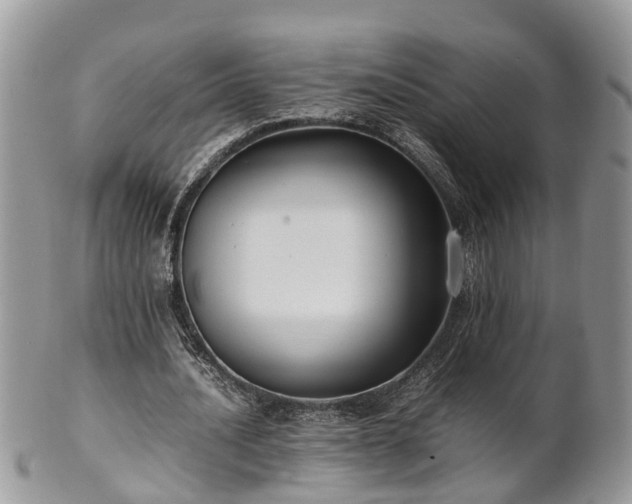X0000102270628200808011428