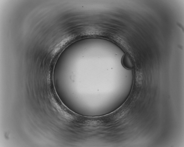 X0000102270629200808011428