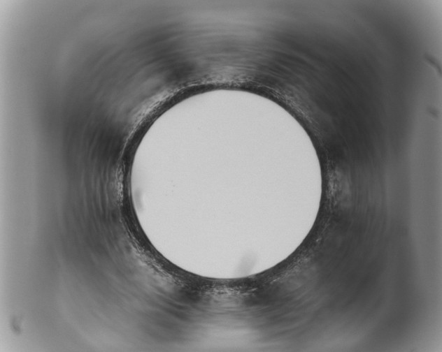 X0000102270632200808011428