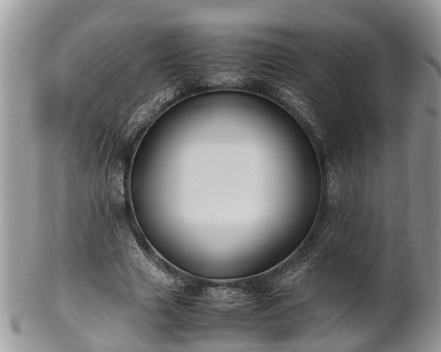 X0000102270633200808011428