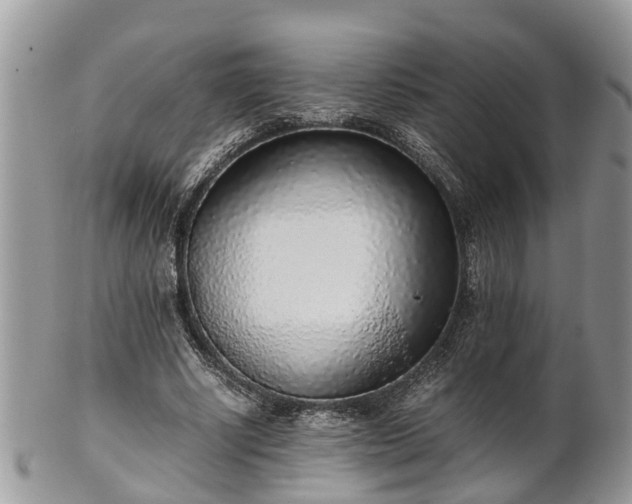 X0000102270634200808011428