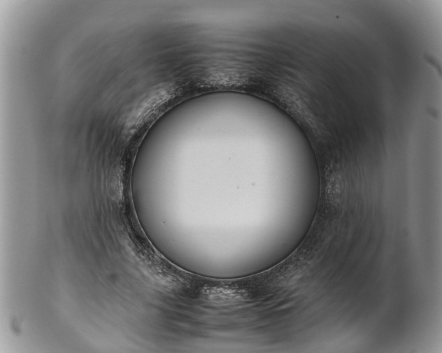X0000102270635200808011428