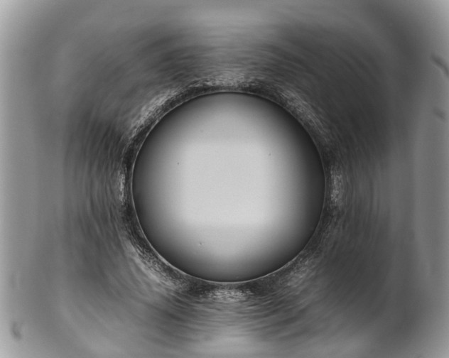 X0000102270636200808011428