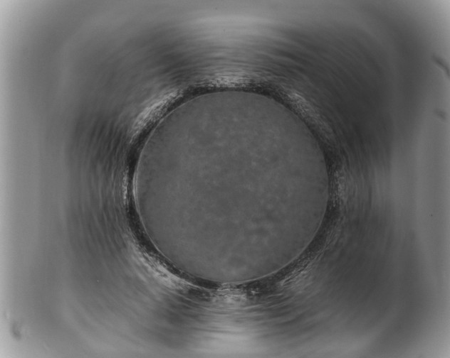 X0000102270640200808011428