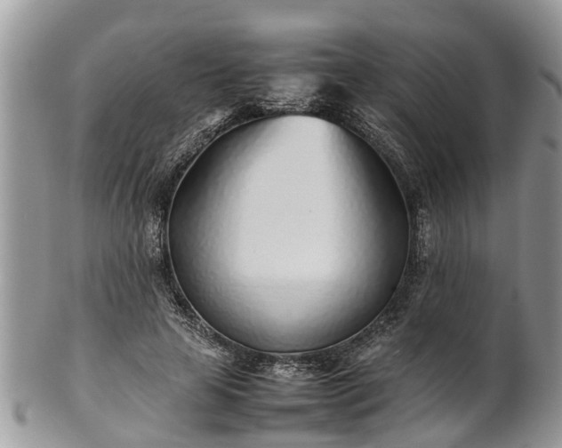 X0000102270641200808011428